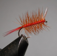 ���� ������ PLM 01 rusty orange \ ����� # 12